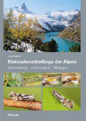 Kleinschmetterlinge der Alpen de Jürg Schmid