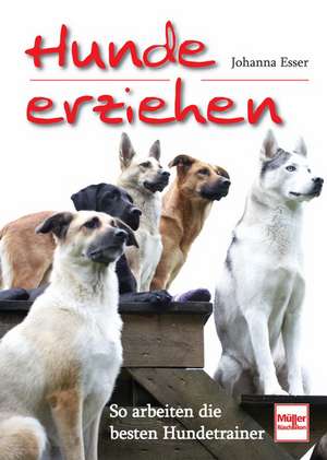 Hunde erziehen de Johanna Esser