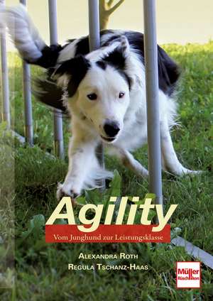 Roth, A: Agility