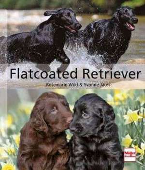 Flatcoated Retriever de Rosemarie Wild