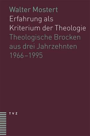 Erfahrung ALS Kriterium Der Theologie: Theologische Brocken Aus Drei Jahrzehnten (1966-1995) de Matthias Mostert