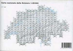 Swisstopo 1 : 25 000 Maggia