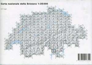 Swisstopo 1 : 25 000 Brissago