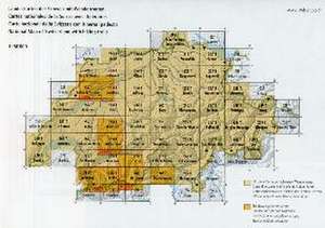 Swisstopo 1 : 50 000 San Bernardino