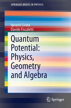 Quantum Potential: Physics, Geometry and Algebra de Ignazio Licata