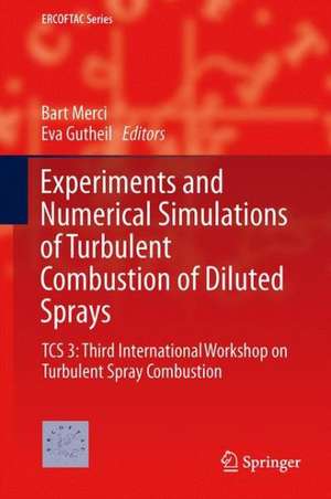 Experiments and Numerical Simulations of Turbulent Combustion of Diluted Sprays: TCS 3: Third International Workshop on Turbulent Spray Combustion de Bart Merci