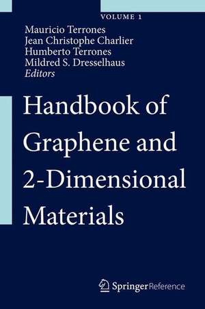 Handbook of Graphene and 2-Dimensional Materials de Mauricio Terrones