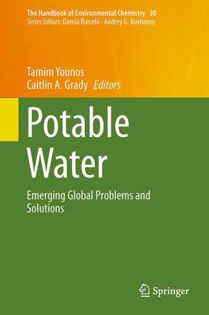 Potable Water: Emerging Global Problems and Solutions de Tamim Younos