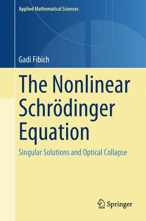 The Nonlinear Schrödinger Equation: Singular Solutions and Optical Collapse de Gadi Fibich