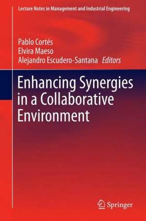 Enhancing Synergies in a Collaborative Environment de Pablo Cortés