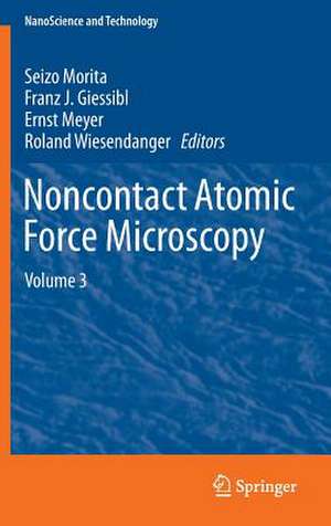 Noncontact Atomic Force Microscopy: Volume 3 de Seizo Morita