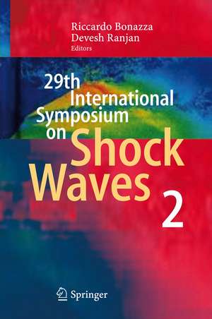 29th International Symposium on Shock Waves 2: Volume 2 de Riccardo Bonazza