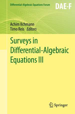 Surveys in Differential-Algebraic Equations III de Achim Ilchmann