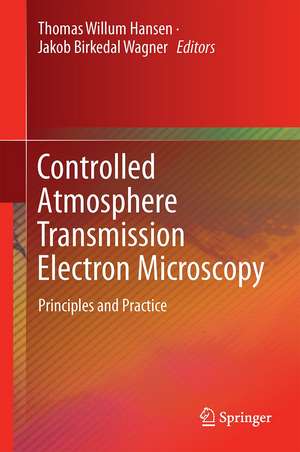 Controlled Atmosphere Transmission Electron Microscopy: Principles and Practice de Thomas Willum Hansen