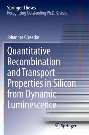 Quantitative Recombination and Transport Properties in Silicon from Dynamic Luminescence de Johannes Giesecke