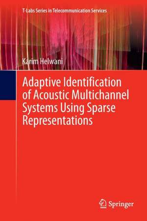 Adaptive Identification of Acoustic Multichannel Systems Using Sparse Representations de Karim Helwani