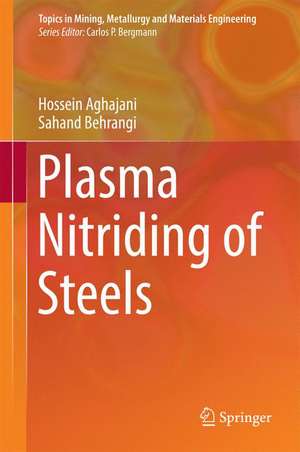 Plasma Nitriding of Steels de Hossein Aghajani