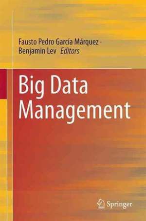 Big Data Management de Fausto Pedro García Márquez