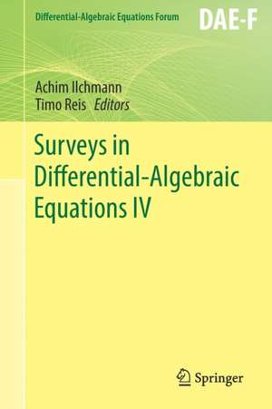 Surveys in Differential-Algebraic Equations IV de Achim Ilchmann