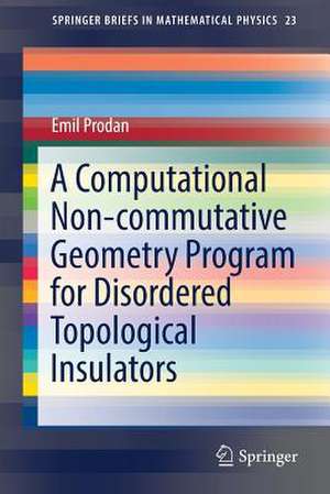 A Computational Non-commutative Geometry Program for Disordered Topological Insulators de Emil Prodan