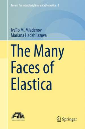 The Many Faces of Elastica de Ivaïlo M. Mladenov