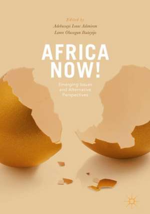 Africa Now!: Emerging Issues and Alternative Perspectives de Adebusuyi Adeniran