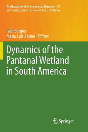 Dynamics of the Pantanal Wetland in South America de Ivan Bergier