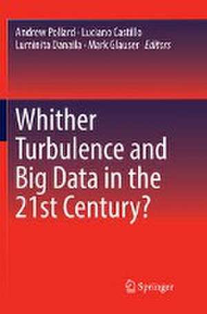 Whither Turbulence and Big Data in the 21st Century? de Andrew Pollard