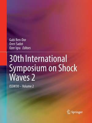 30th International Symposium on Shock Waves 2: ISSW30 - Volume 2 de Gabi Ben-Dor