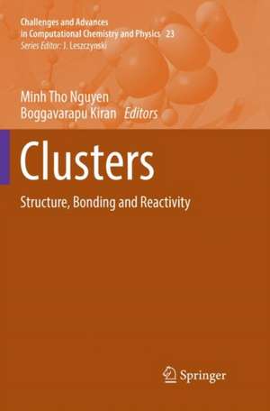 Clusters: Structure, Bonding and Reactivity de Minh Tho Nguyen