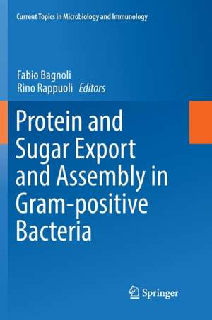 Protein and Sugar Export and Assembly in Gram-positive Bacteria de Fabio Bagnoli