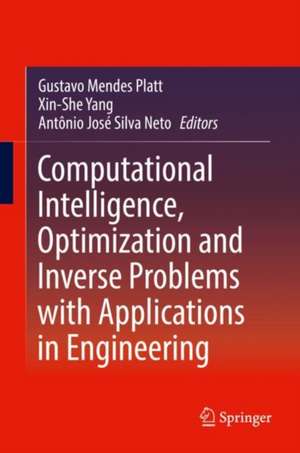 Computational Intelligence, Optimization and Inverse Problems with Applications in Engineering de Gustavo Mendes Platt