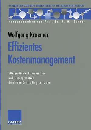 Effizientes Kostenmanagement: EDV-gestützte Datenanalyse und -interpretation durch den Controlling-Leitstand de Wolfgang Kraemer