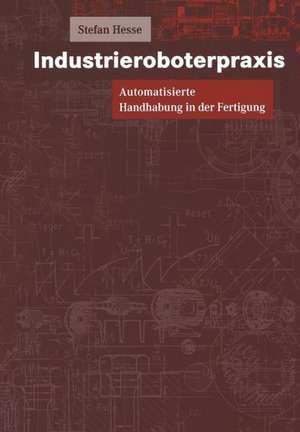 Industrieroboterpraxis: Automatisierte Handhabung in der Fertigung de Stefan Hesse