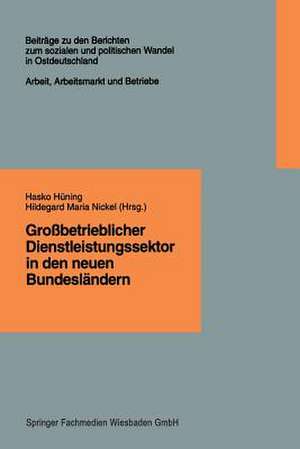 Großbetrieblicher Dienstleistungssektor in den neuen Bundesländern: Finanzdienstleistungen, Einzelhandel, Krankenpflege de Hasko Hüning