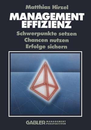 Management Effizienz: Schwerpunkte setzen Chancen nutzen Erfolge sichern de Matthias Hirzel