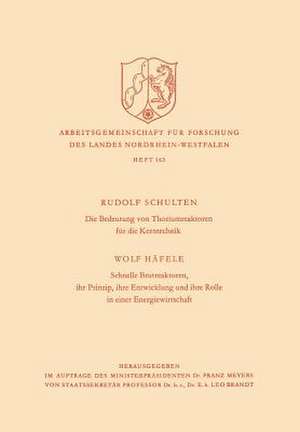 Die Bedeutung von Thoriumreaktoren für die Kerntechnik de Rudolf Schulten