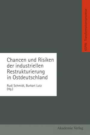 Chancen und Risiken der industriellen Restrukturierung in Ostdeutschland de Rudi Schmidt