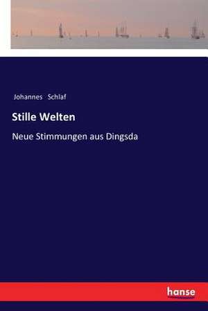 Stille Welten de Johannes Schlaf