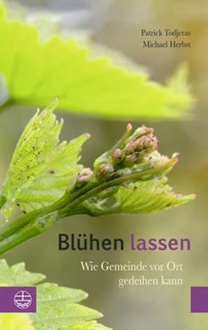 Blühen lassen de Patrick Todjeras