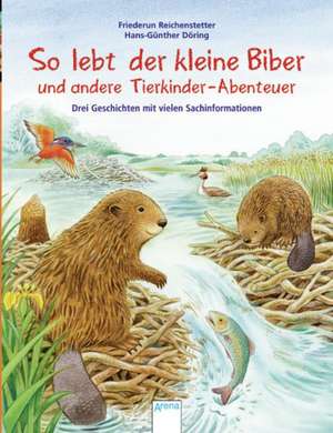 So lebt der kleine Biber und andere Tierkinder-Abenteuer de Friederun Reichenstetter