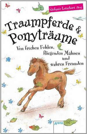 Traumpferde & Ponyträume de Stefanie Letschert