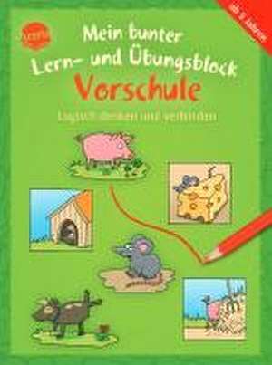 Mein bunter Lern- und Übungsblock Vorschule. Logisch denken und verbinden de Carola Schäfer