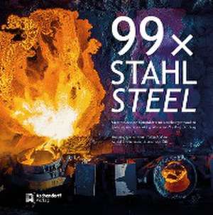 99 x Stahl / 99 x Steel de Astrid Dörnemann