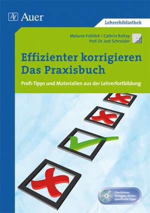 Effizienter korrigieren - Das Praxisbuch de Melanie Fröhlich