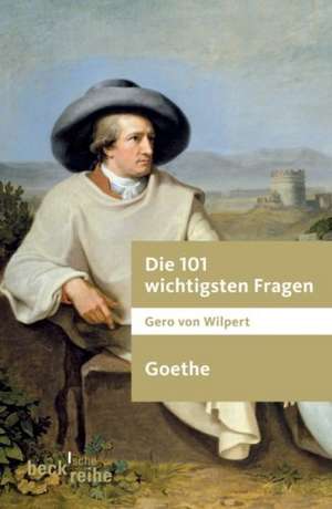 Die 101 wichtigsten Fragen. Goethe de Gero von Wilpert