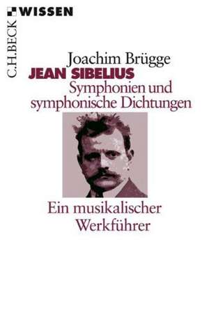 Sibelius´ Symphonien und Symphonische Dichtung de Joachim Brügge