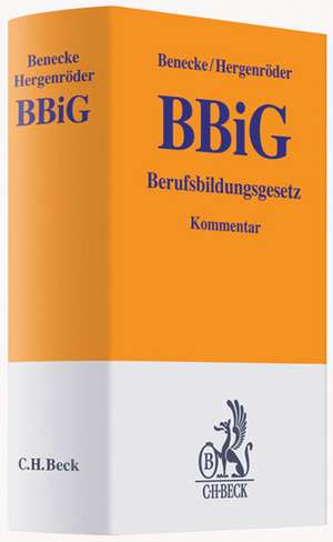 BBiG - Kommentar