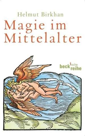 Magie im Mittelalter de Helmut Birkhan