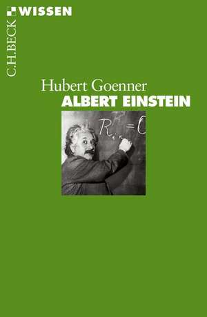 Albert Einstein de Hubert Goenner